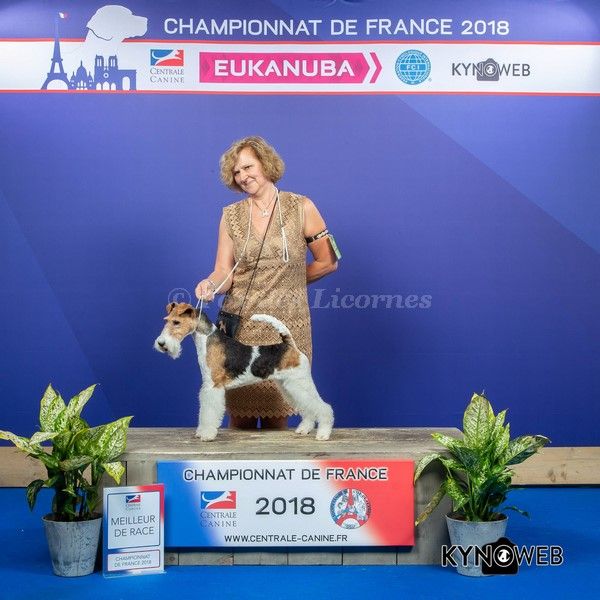 du Moulin des Licornes - Championnat de France 2018