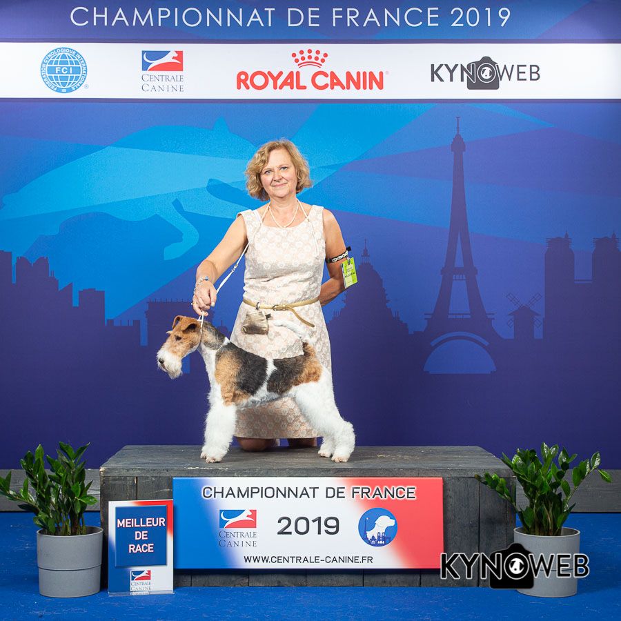 du Moulin des Licornes - Championnat de France 2019